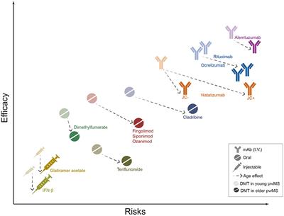 Late-Onset MS: Disease Course and Safety-Efficacy of DMTS